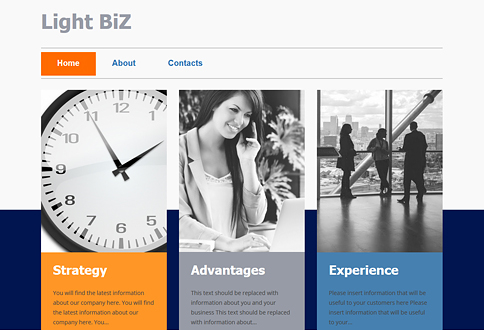 Light BiZ