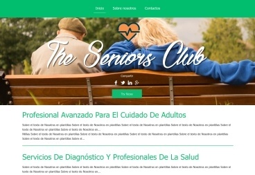 Plantilla web The Seniors Club de Social 